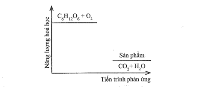 Đường sucrose là một đường đôi Trong môi trường acid ở dạ dày và nhiệt độ cơ thể