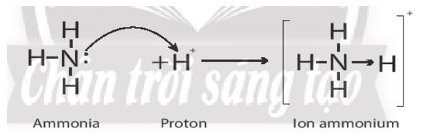 Ammonium là chất thải của quá trình trao đổi chất ở động vật