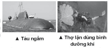 Sodium peroxide (Na2O2), potassium superoxide (KO2) là những chất oxi hóa mạnh (ảnh 1)