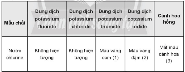 Ghi hiện tượng vào các ô trống trong bảng và viết phương trình (ảnh 4)