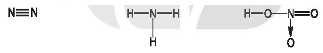 Cho các phân tử có công thức cấu tạo sau: