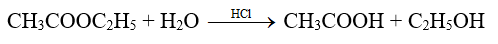 Trong dung dịch phản ứng thủy phân ethyl acetate  