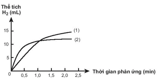 Có hai miếng iron có kích thước giống hệt nhau, một miếng là khối iron đặc (A) 