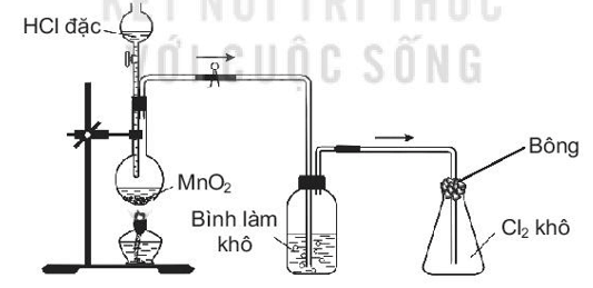 Trong phòng thí nghiệm, khí chlorine được điều chế, làm khô và thu vào