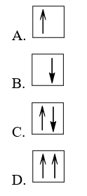 Cách biểu diễn electron trong AO nào sau đây không tuân theo nguyên lí Pauli?