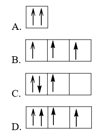 Sự phân bố electron theo ô orbital nào dưới đây là đúng?