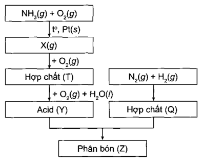 Sơ đồ quy trình dưới đây mô tả các bước trong quá trình sản xuất phân bón