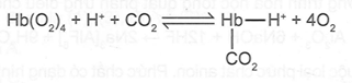 Giải thích sơ lược về sự vận chuyển oxygen trong cơ thể người