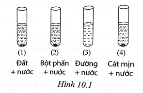 SBT KHTN 6 Cánh diều Bài 10: Hỗn hợp, chất tinh khiết, dung dịch | Sách bài tập Khoa học tự nhiên 6