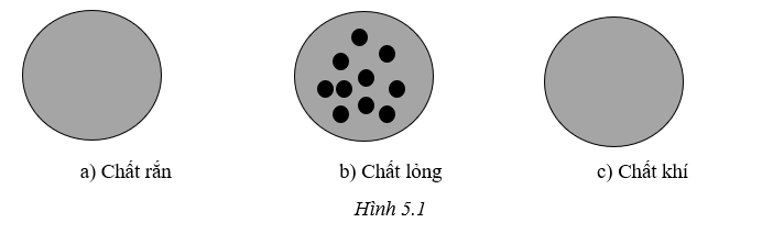 SBT KHTN 6 Cánh diều Bài 5: Sự đa dạng của chất | Sách bài tập Khoa học tự nhiên 6