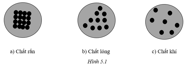 SBT KHTN 6 Cánh diều Bài 5: Sự đa dạng của chất | Sách bài tập Khoa học tự nhiên 6