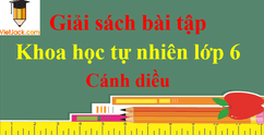 Giải sách bài tập Khoa học tự nhiên lớp 6 - Cánh diều