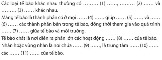 Bài 19. Cấu tạo và chức năng các thành phần của tế bào