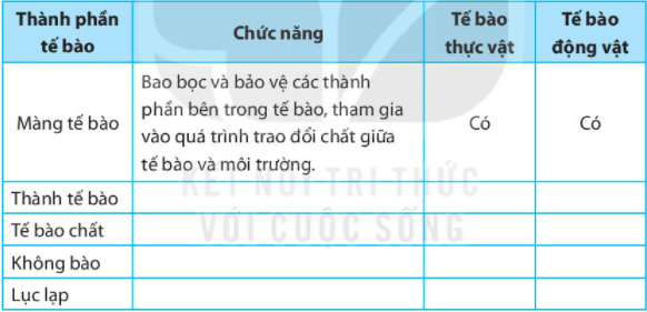 Bài 19. Cấu tạo và chức năng các thành phần của tế bào