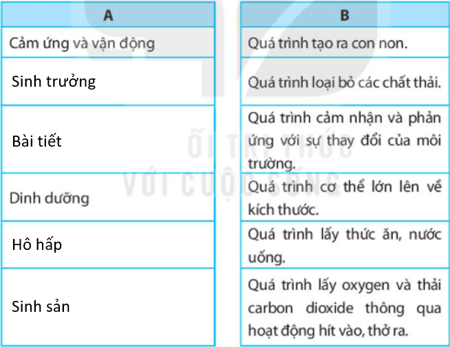 Bài 22. Cơ thể sinh vật