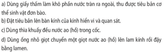 Bài 24. Thực hành: Quan sát và mô tả cơ thể đơn bào, cơ thể đa bào