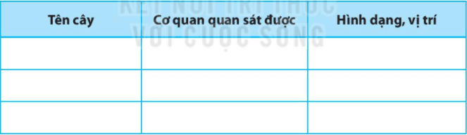 Bài 24. Thực hành: Quan sát và mô tả cơ thể đơn bào, cơ thể đa bào