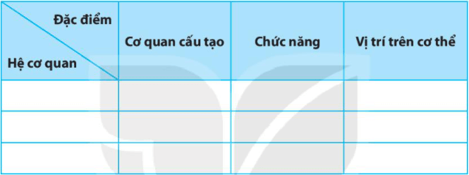 Bài 24. Thực hành: Quan sát và mô tả cơ thể đơn bào, cơ thể đa bào