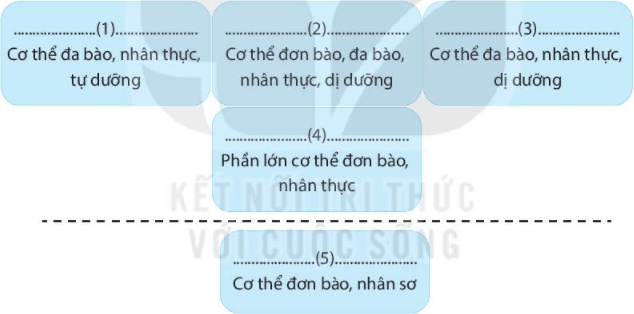 Bài 25. Hệ thống phân loại sinh vật