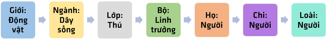 Bài 25. Hệ thống phân loại sinh vật