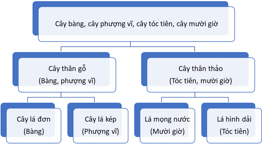 Bài 26. Khóa lưỡng phân