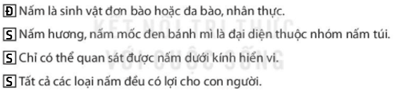 Bài 32. Nấm