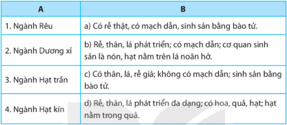 Bài 34. Thực vật