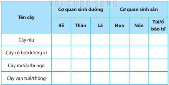 Bài 35. Thực hành: Quan sát và phân biệt một số nhóm thực vật