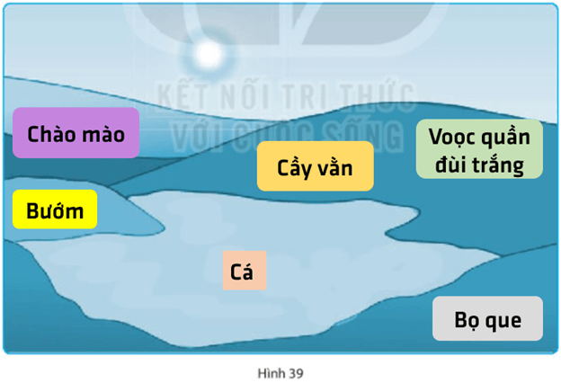 Bài 39: Tìm hiểu sinh vật ngoài thiên nhiên