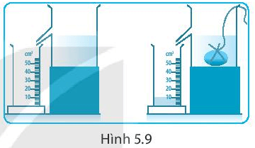 Bài 5. Đo chiều dài