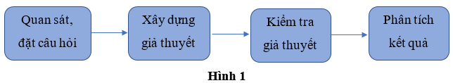 Một nhóm học sinh lớp 7 tìm hiểu về Độ dài mỗi bước chân trong các lần đi bộ khác nhau