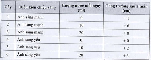 Để tìm hiểu yếu tố nào cần thiết cho sự phát triển của cây, bạn Hà trồng sáu