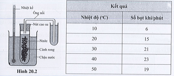 Một số học sinh làm thí nghiệm điều tra ảnh hưởng của nhiệt độ đến tốc độ