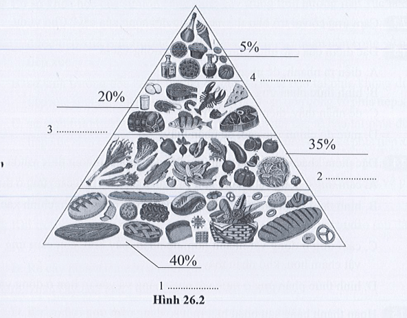 Điền tên thành phần dinh dưỡng và các loại thực phẩm tương ứng với các bậc trong tháp dinh dưỡng sau