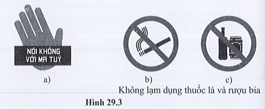 Giải SBT Khoa học tự nhiên 7 trang 64 Cánh diều