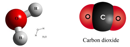 Nêu các ví dụ về phân tử được tạo thành từ (ảnh 3)