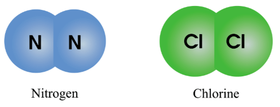 Nêu các ví dụ về phân tử được tạo thành từ (ảnh 1)