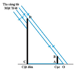 Một học sinh xác định độ cao của cột điện vào một ngày trời nắng