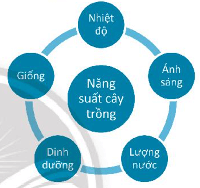 Hãy kể tên một vài yếu tố ảnh hưởng đến sự sinh trưởng của cây trồng