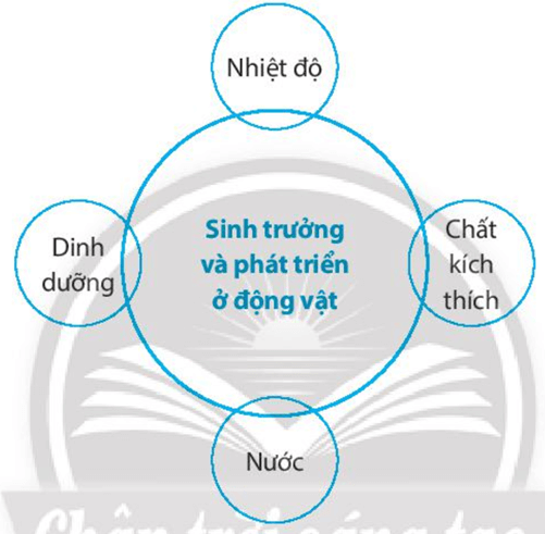 Hãy điền tên các nhân tố ảnh hưởng đến sinh trưởng và phát triển của động vật