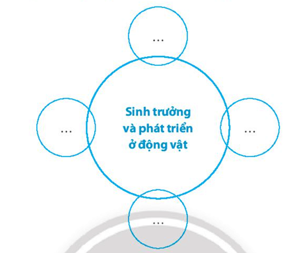 Nêu ảnh hưởng của từng nhân tố trong sơ đồ đến sự sinh trưởng và phát triển của sinh vật