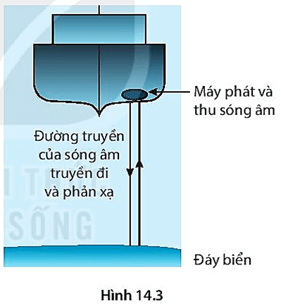 Người ta ứng dụng hiện tượng phản xạ sóng âm để đo độ sâu của biển. Sóng âm có tần số cao (siêu âm) từ con tàu