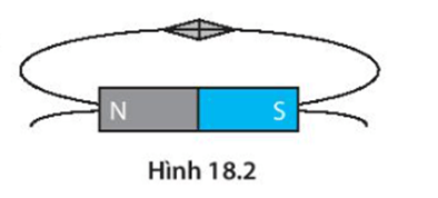 Xác định cực của kim nam châm ở Hình 18.2