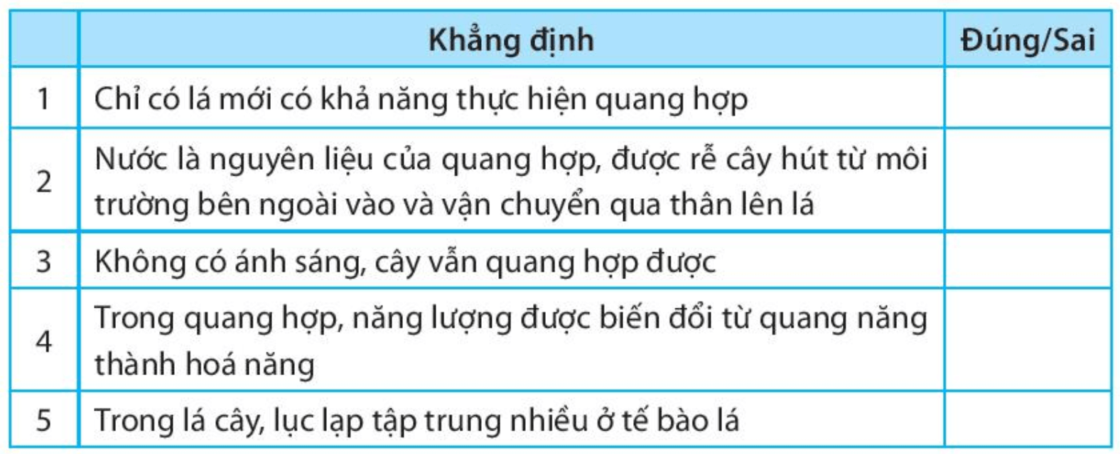 Các khẳng định sau đây đúng hay sai?