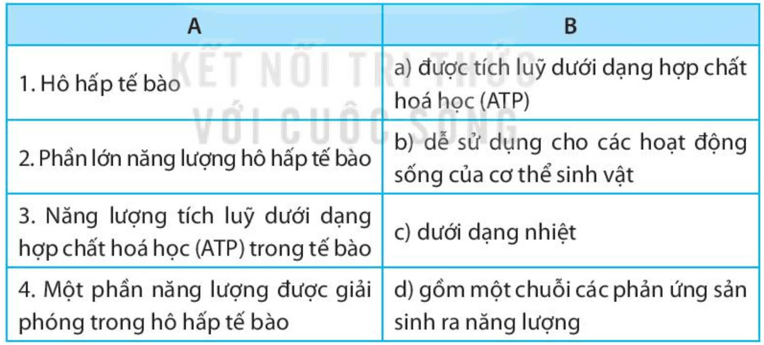 Kết nối các thông tin ở cột A với cột B trong bảng để được nội dung phù hợp