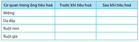 Dựa vào những hiểu biết của em về sự biến đổi thức ăn trong ống tiêu hoá của người