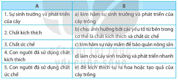 Ghép các thông tin trong cột A với cột B trong bảng sau sao cho phù hợp