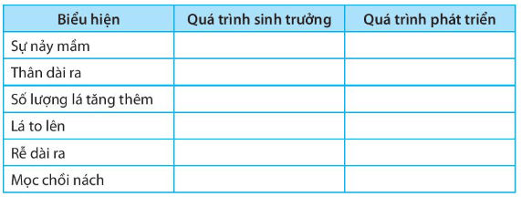 Thông qua hoạt động gieo hạt và theo dõi sự biến đổi của cây từ giai đoạn