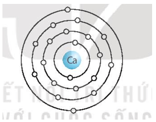 Nguyên tố X (Z = 20) là thành phần không thể thiếu trong sản phẩm sữa