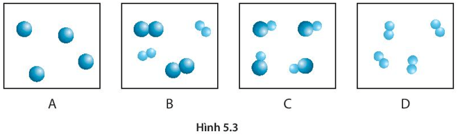 Trong các hình vẽ dưới đây, các vòng tròn có kích thước khác nhau